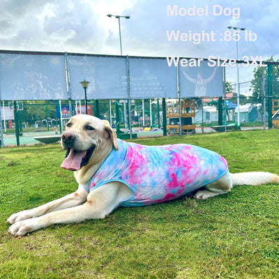 Big Dogs I Breathable Summer Shirt