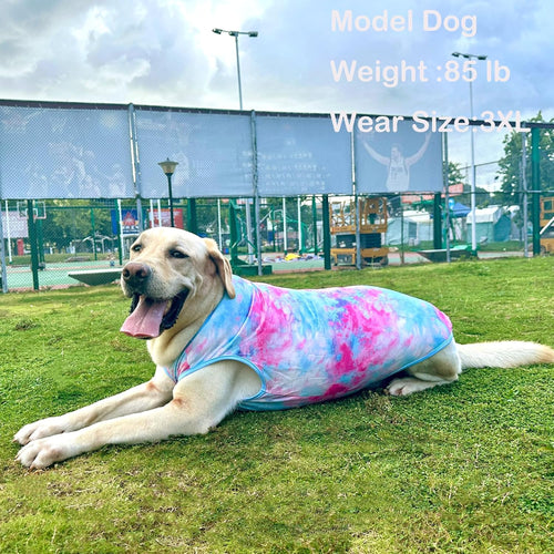 Big Dogs I Breathable Summer Shirt