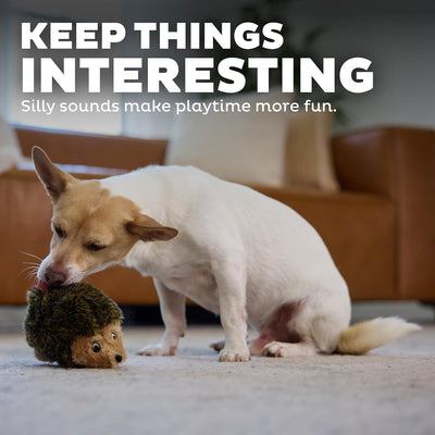 Squeaky Hedgehog Plush Toy for Cuddles