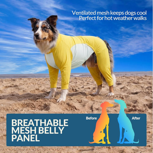 Big Dog I Cooling Shirt with UV Protection