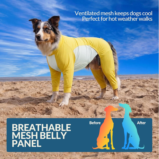Big Dog I Cooling Shirt with UV Protection