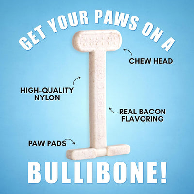 Dental Nylon Dog Chew Toy with Bacon Flavor