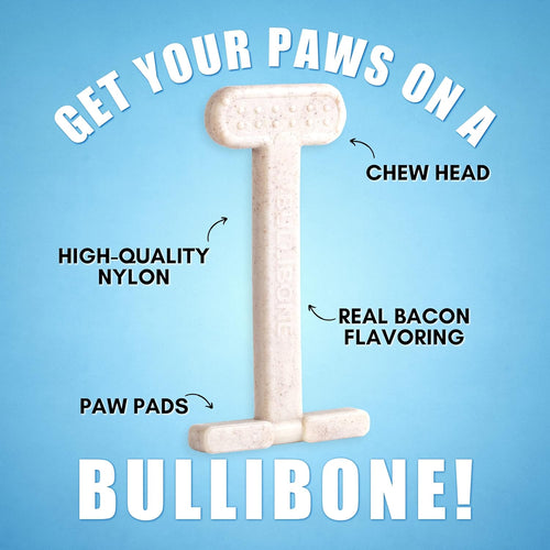 Dental Nylon Dog Chew Toy with Bacon Flavor