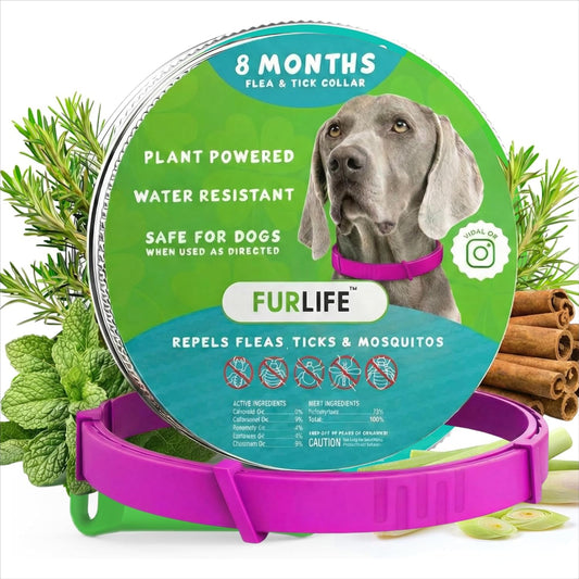 Natural Flea & Tick Collar for Dogs I Waterproof