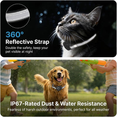 Smart Pet Tracker Collar Without Monthly Subscriptions