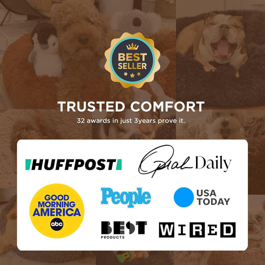 Human Dog Bed With Orthopedic Support