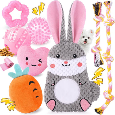 Puppy Teething Toy Set For Fun Healthy Chewing