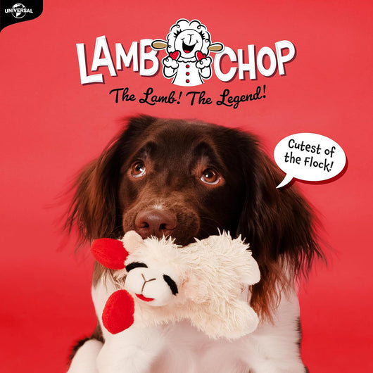 Squeaky Lamb Plush Toy for Cuddles
