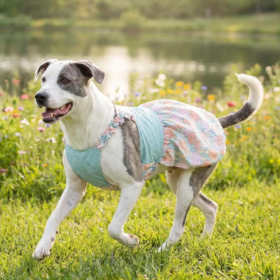 Large Dogs I Pink Wedding & Birthday Outfit