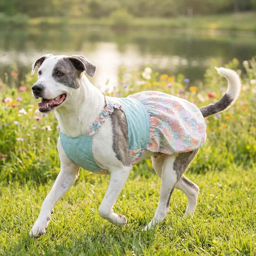 Large Dogs I Pink Wedding & Birthday Outfit