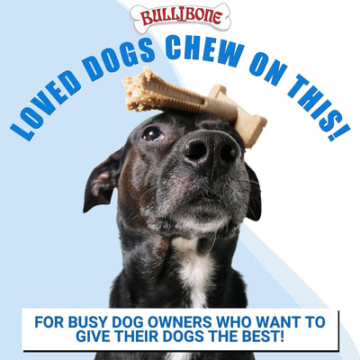 Dog Dental Chew Toy for Small & Medium Dogs