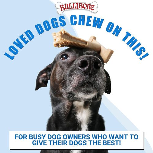 Dog Dental Chew Toy for Small & Medium Dogs