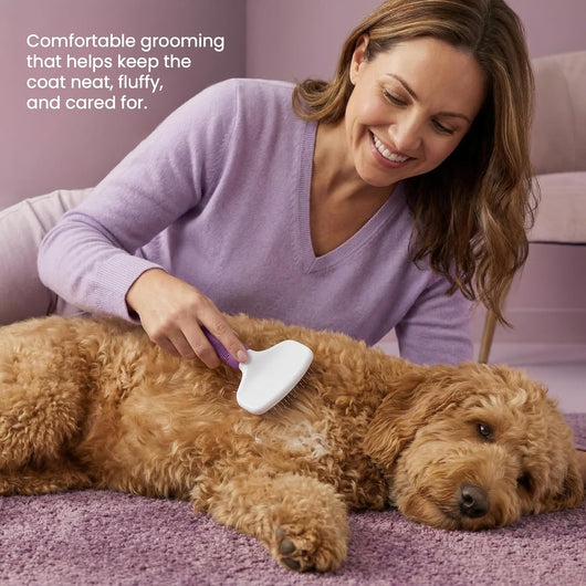 Professional Slicker Brush For Pet Grooming