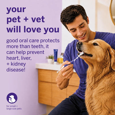 Dual-Ended 45° Dog Toothbrush