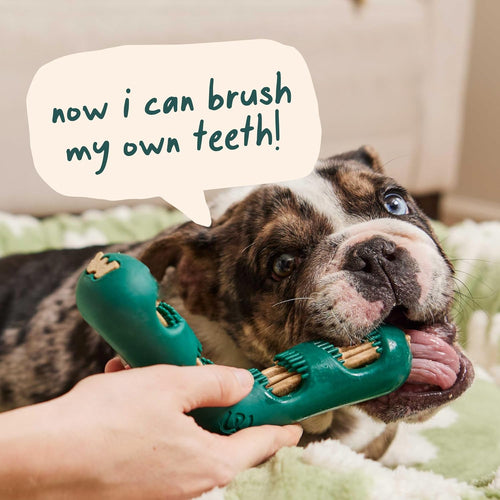 Woof Bite n' Brush Dog Toy