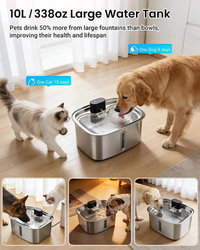Smart Stainless Steel Dog Water Fountain System