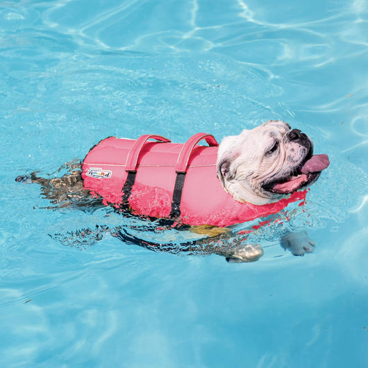 Reflective Dog Life Jacket with Rescue Handle