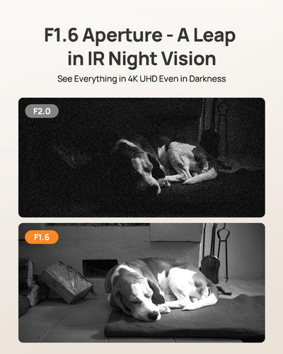 4K Smart Dog Camera With Auto Tracking