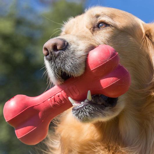 Durable Treat Dispensing Rubber Bone for Dogs