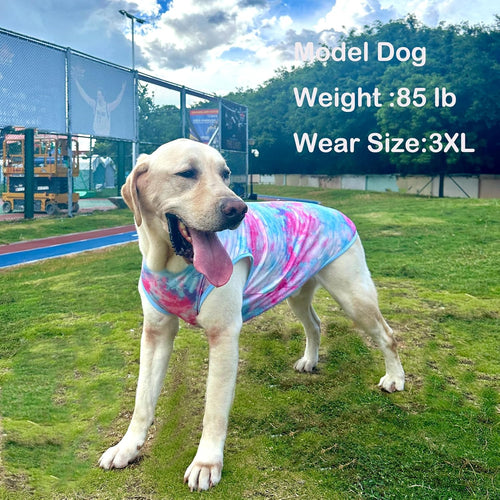 Big Dogs I Breathable Summer Shirt