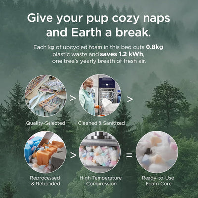 XL Orthopedic Dog Bed I Waterproof Sofa