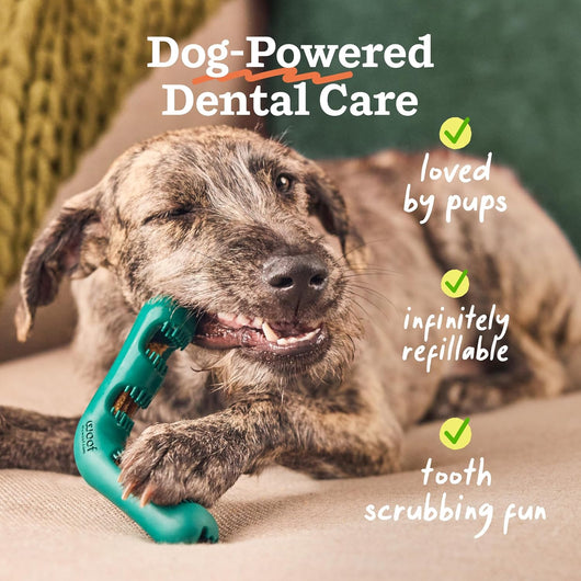 Woof Bite n' Brush Dog Toy