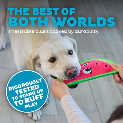 Squeaky Watermelon Toy for Tough Chewers