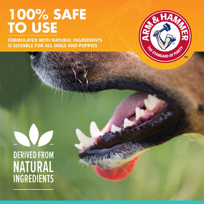 Enzymatic Dog Toothpaste for Toothbrush Use