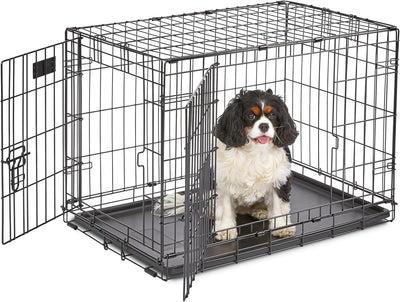 Puppy Crate With Divider For Growing Dogs