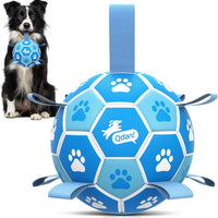 Dog Soccer Ball 6