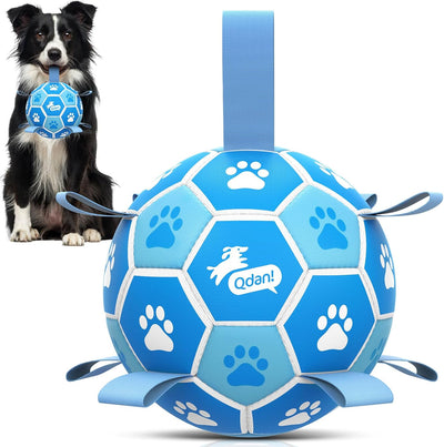 Dog Soccer Ball 6" I Blue Ball toy