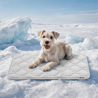 ZOMISIA Cooling Dog Mat For XL Dogs