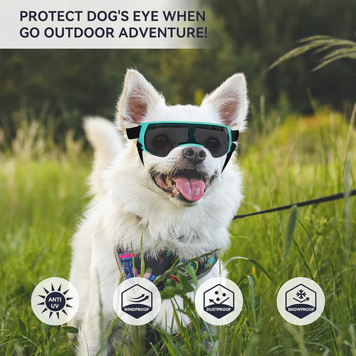 Dog Sunglasses for Small Dogs I UV400 Protective