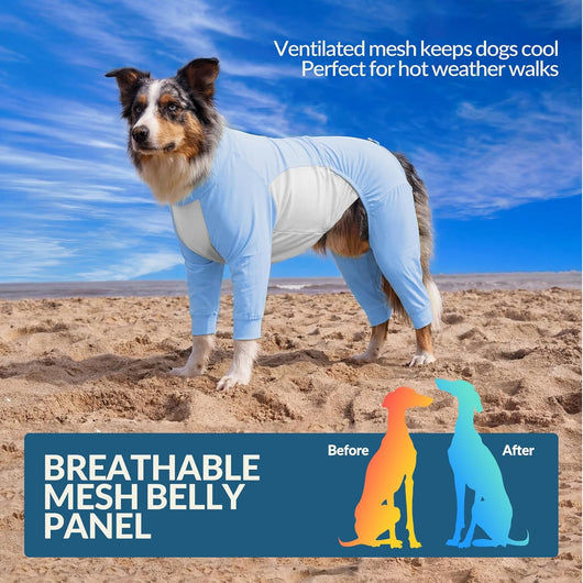Big Dog Cooling Suit I UV Protection Blue color