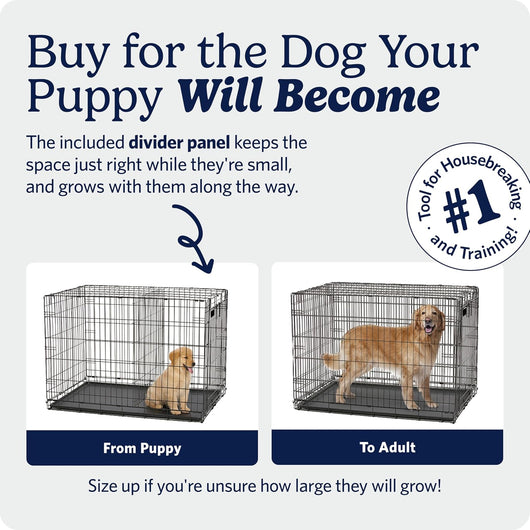 Puppy Crate With Divider For Growing Dogs