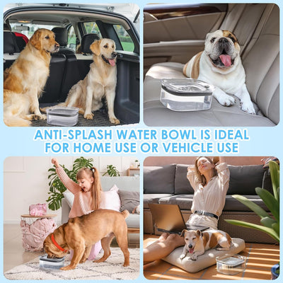 3L No-Spill Dog Water Bowl