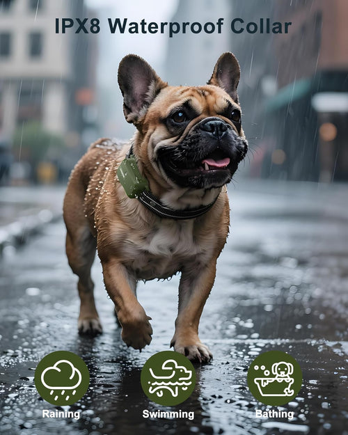 Collar with Remote I 4500FT Range, Waterproof, Rechargeable