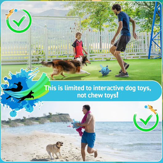 Dog Soccer Ball 6" I Blue Ball toy