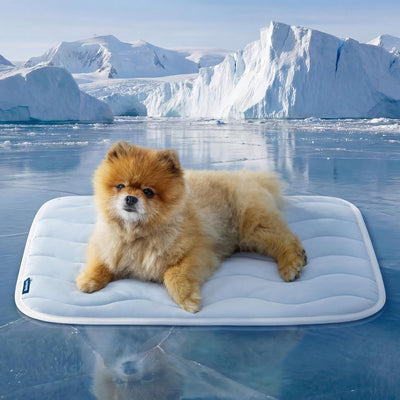 Bedsure Cooling Dog Mat For Crate Comfort