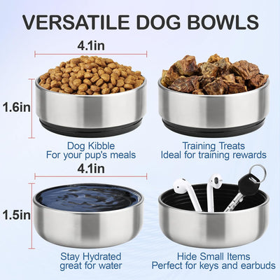 Insulated 3-in-1 Dog Travel Water Bottle Set