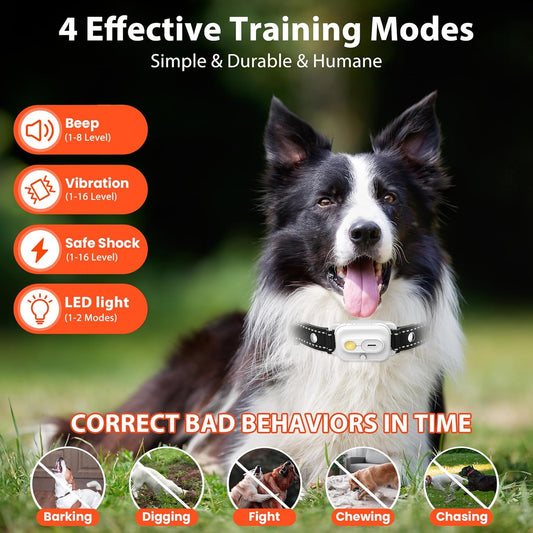 Dog Training Collar with Remote I 3300FT Waterproof