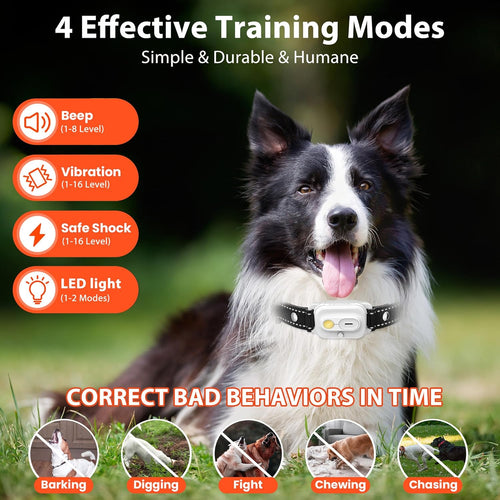 Dog Training Collar with Remote I 3300FT Waterproof