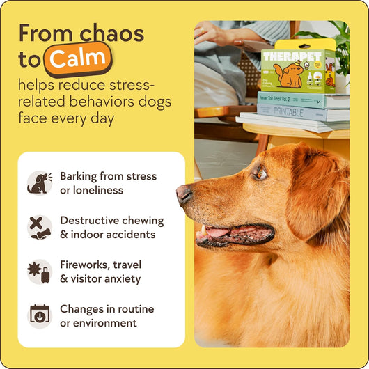 Dog Calming Diffuser Kit For Anxiety Relief