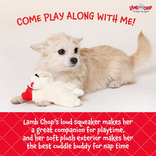 Squeaky Lamb Plush Toy for Cuddles
