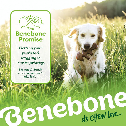 Benebone 4-Pack Medium Chew Bones