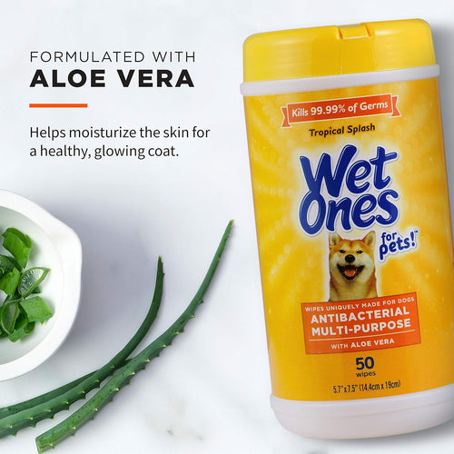 Antibacterial Dog Wipes For Daily Grooming