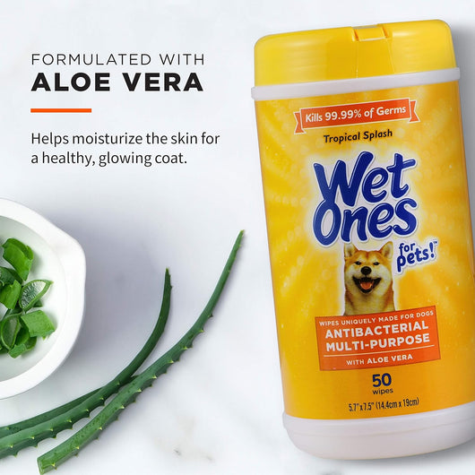 Antibacterial Dog Wipes For Daily Grooming