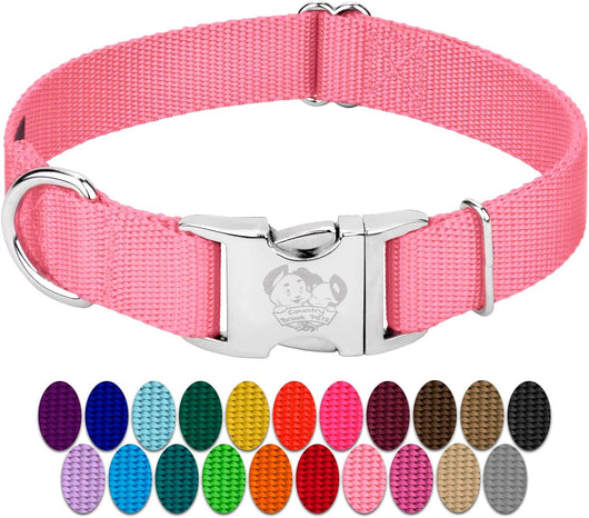 Premium Nylon Dog Collar with Metal Buckle