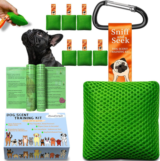 Nose Work scent training kit for dogs with green pouches for calming mental stimulation and brain games