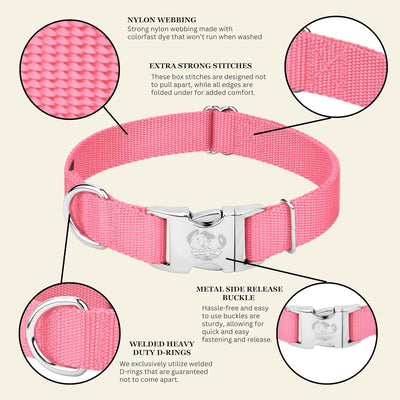Premium Nylon Dog Collar with Metal Buckle